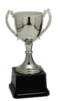 Trophy8